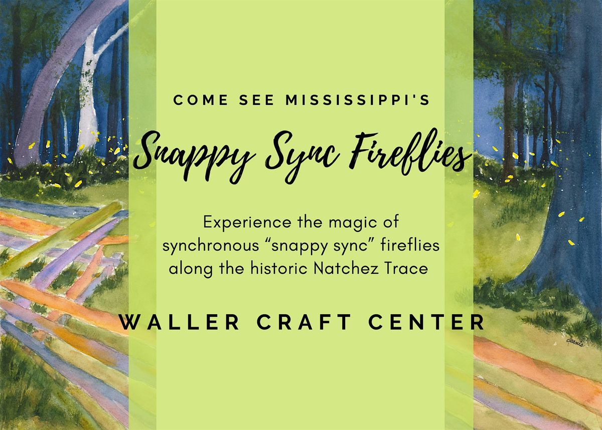 2025 Snappy Sync Soiree and Firefly Tours | Event in Ridgeland | AllEvents