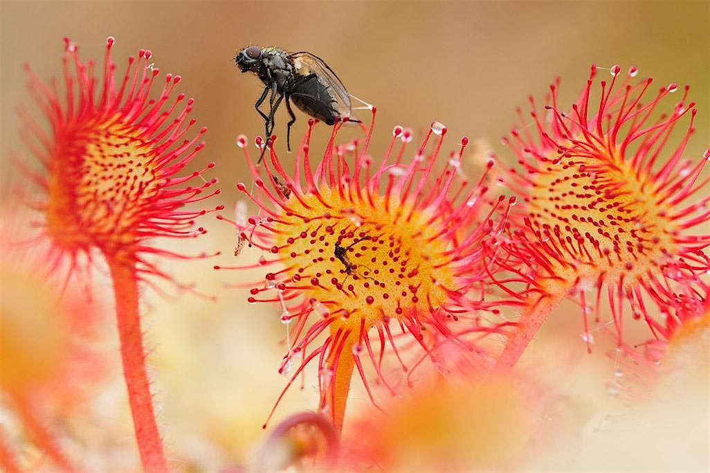 Nature Photography Workshop with Laurie Campbell, 4 October | Event in Aberfeldy | AllEvents