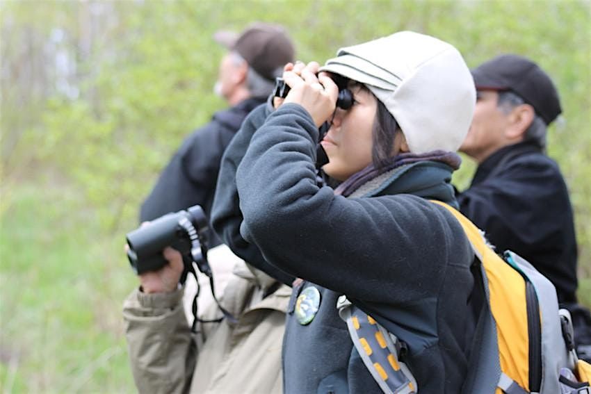 Bird Watching 101 at SouthFields Village, 8 November | Event in Caledon | AllEvents
