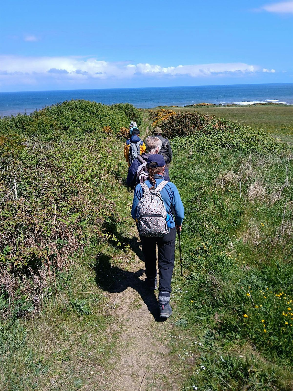 Coastal Wildlife Walk - Hawthorn Dene, 14 December | Event in Teeside | AllEvents