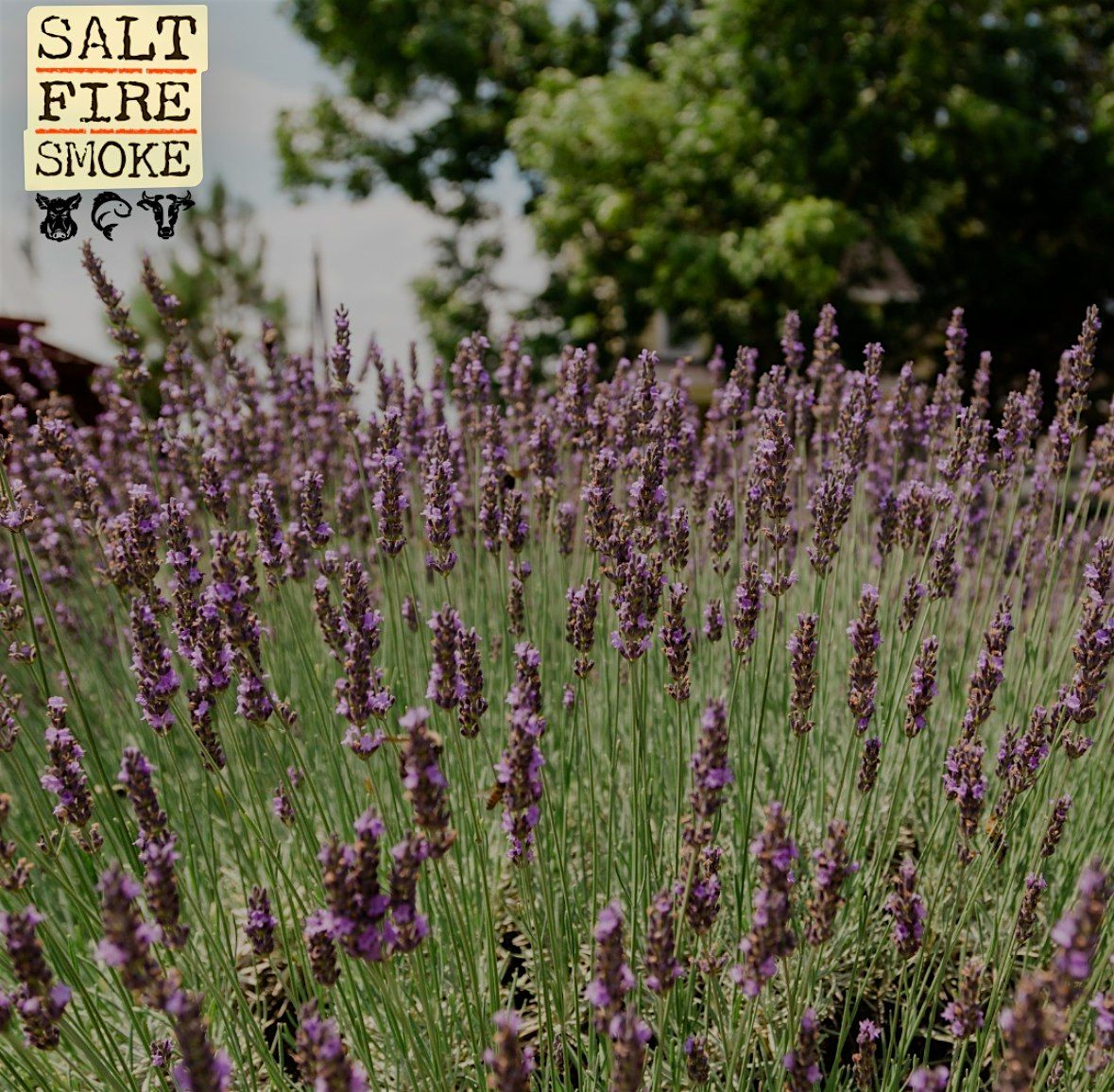 Salt Fire Smoke, 16 May | Event in Dearing | AllEvents