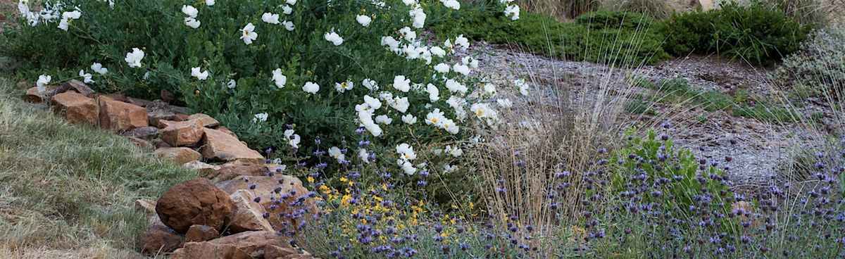 Resilient Landscapes Design Competition and Workshop, 27 August | Event in Occidental | AllEvents