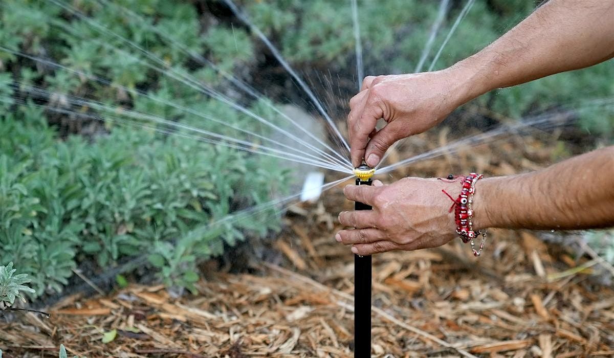 Comprehensive Irrigation for California Native Plants with Tim Becker, 16 August | Event in Los Angeles | AllEvents