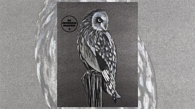 Charcoal Event "Owl" in Baraboo, 9 September | Event in Baraboo | AllEvents