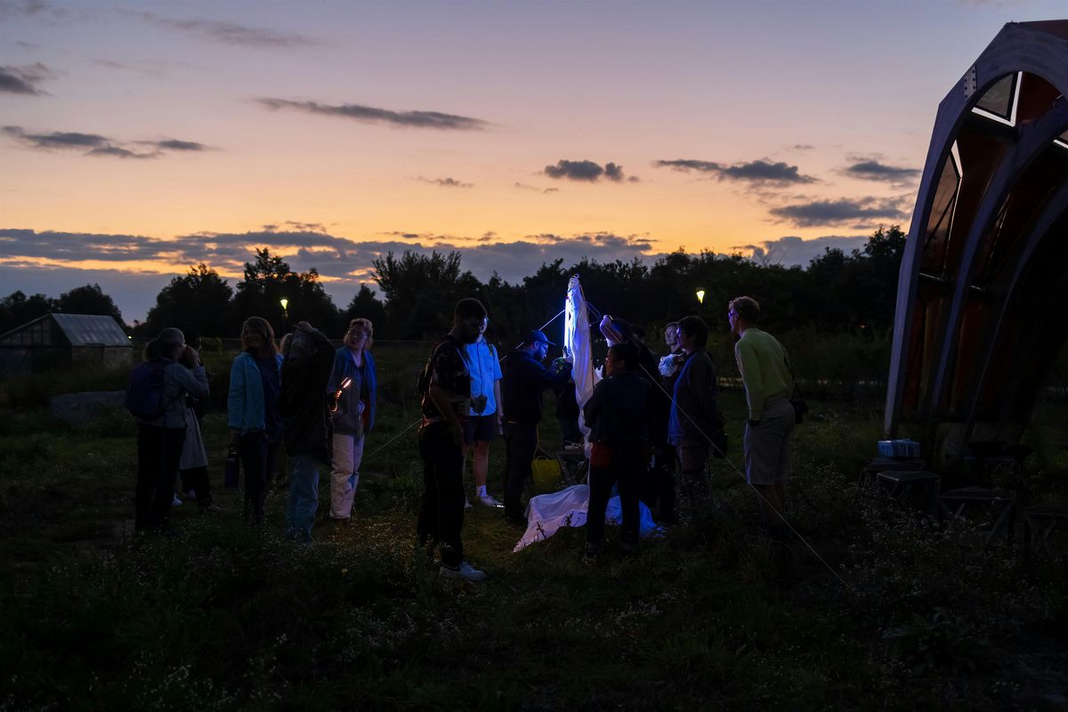 Community Science: Light Trapping on Governors Island (August 2025), 15 August | Event in New York | AllEvents