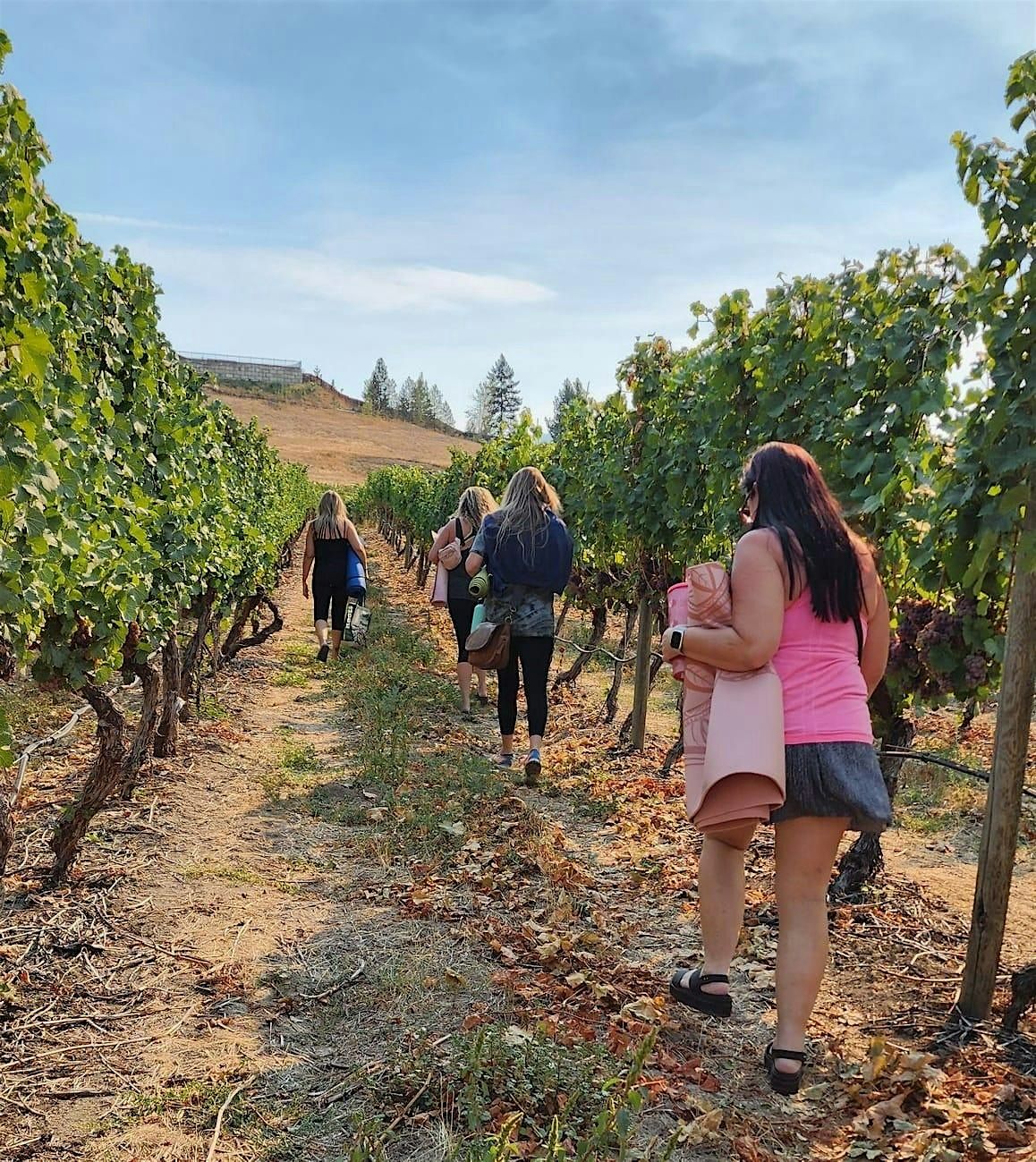 "Breathe, Stretch, Sip: Spring Yoga with a 360° Okanagan View", 31 May | Event in Kelowna | AllEvents