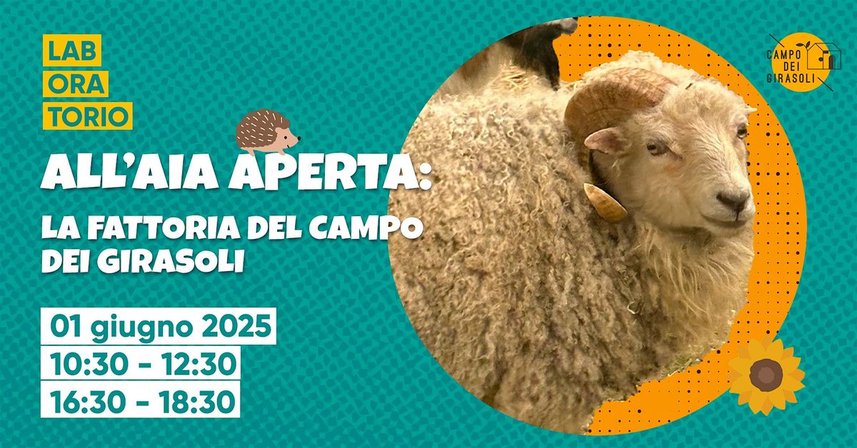 ALL’AIA APERTA: LA FATTORIA DEL CAMPO DEI GIRASOLI, 1 June | Event in Padova | AllEvents