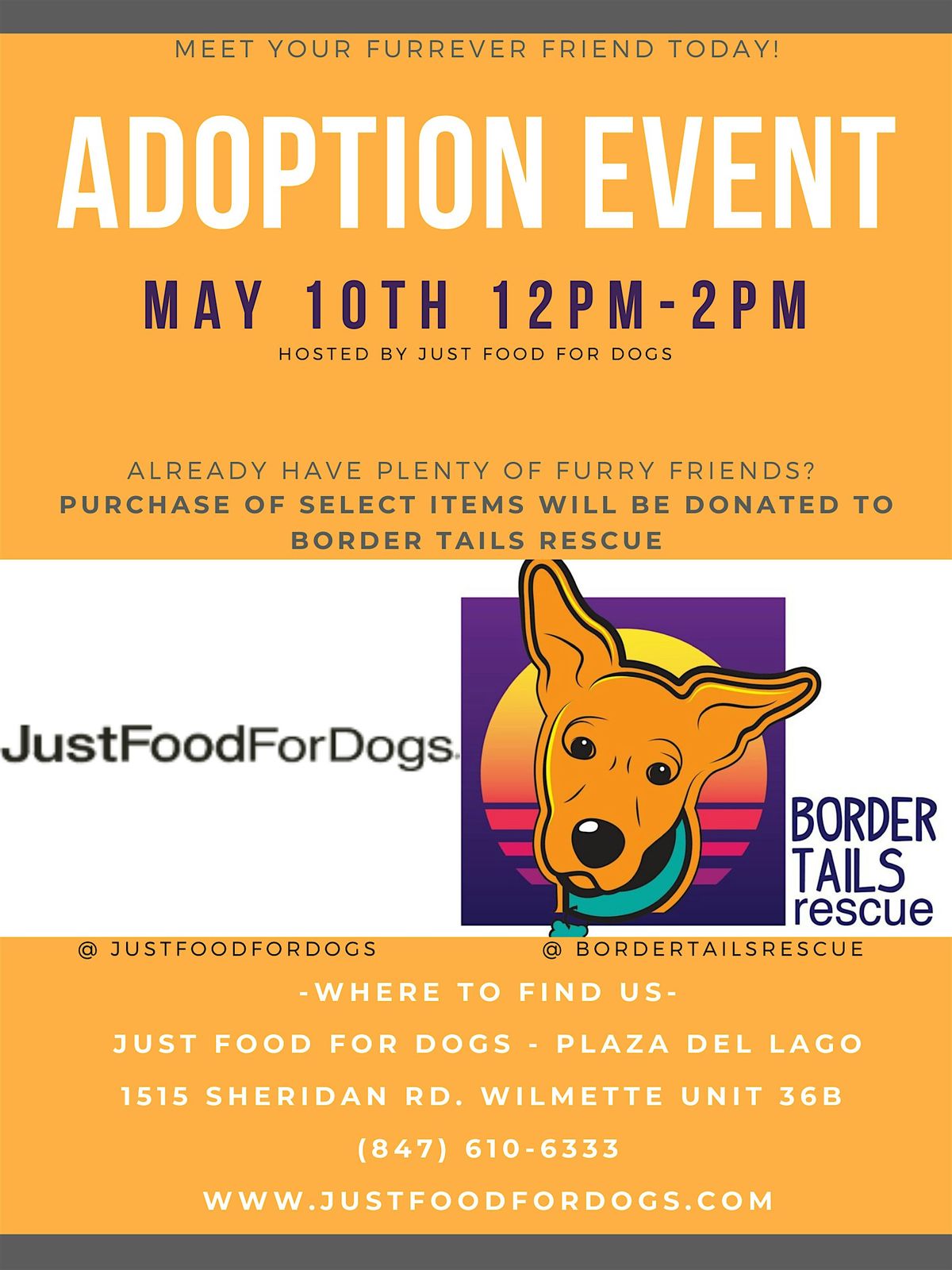 Meet Adoptable Dogs at JustFoodforDogs | Event in Wilmette | AllEvents