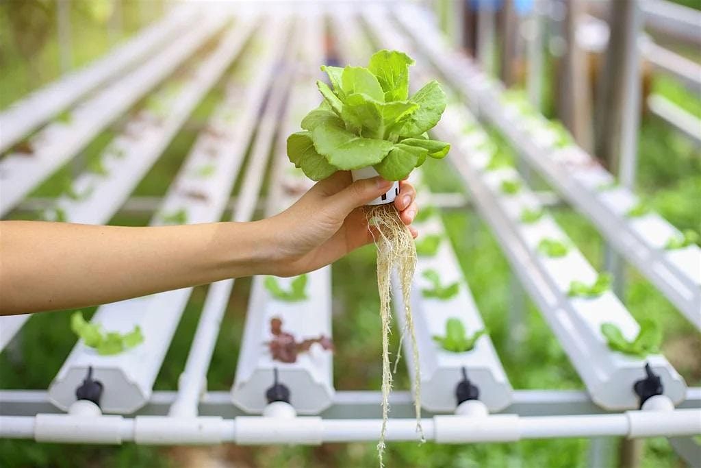 Atlantis Hydroponics - Hydroponics 101, 1 June | Event in Atlanta | AllEvents