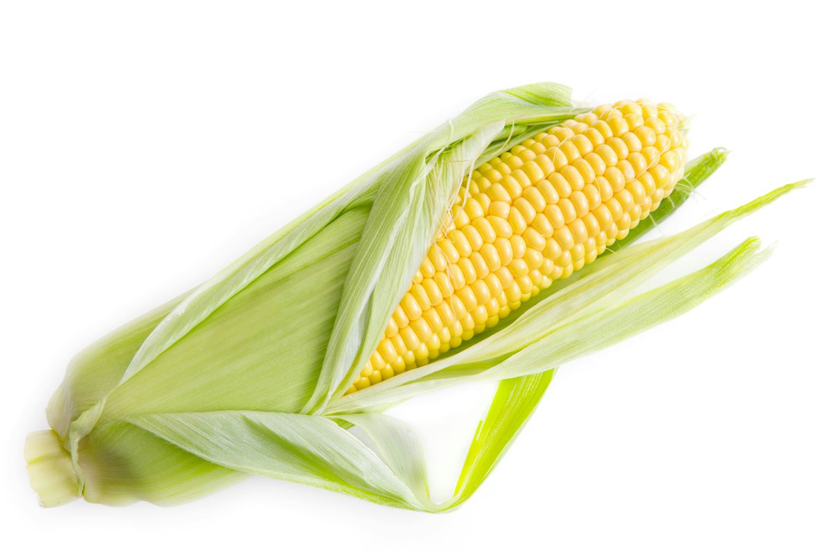 Tennessee Agricultural Museum - June 20th Summer Friday, 20 June | Event in Nashville | AllEvents