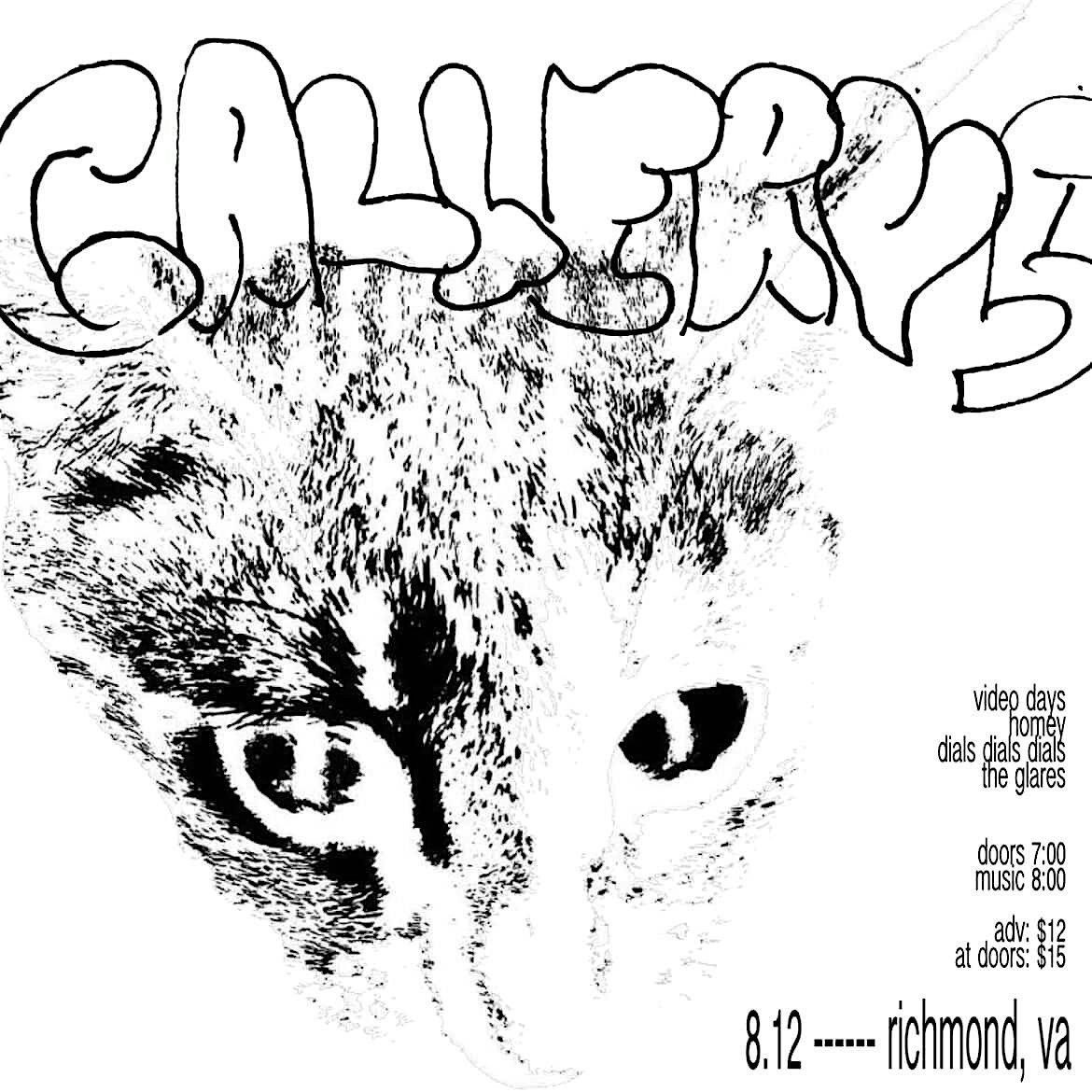 Video Days (Boston), Homey, Dials Dials Dials, The Glares | Event in Richmond | AllEvents