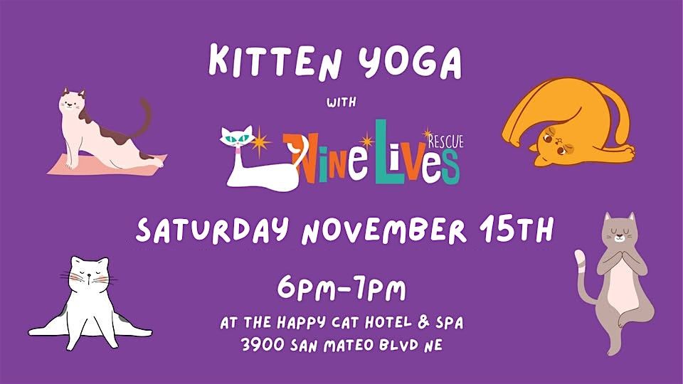 Cat Yoga at Happy Cat Hotel and Spa, 15 November | Event in Albuquerque | AllEvents
