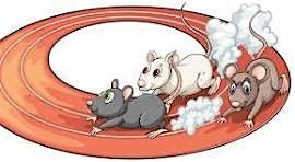 Mouse Races, 24 October | Event in Saint Charles | AllEvents
