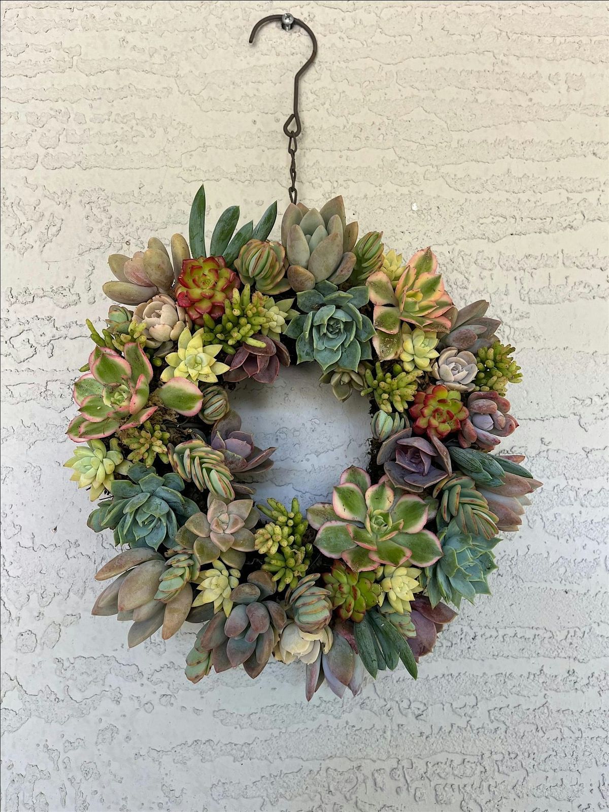Live Succulent Wreath Class, 21 May | Event in Ormond Beach | AllEvents