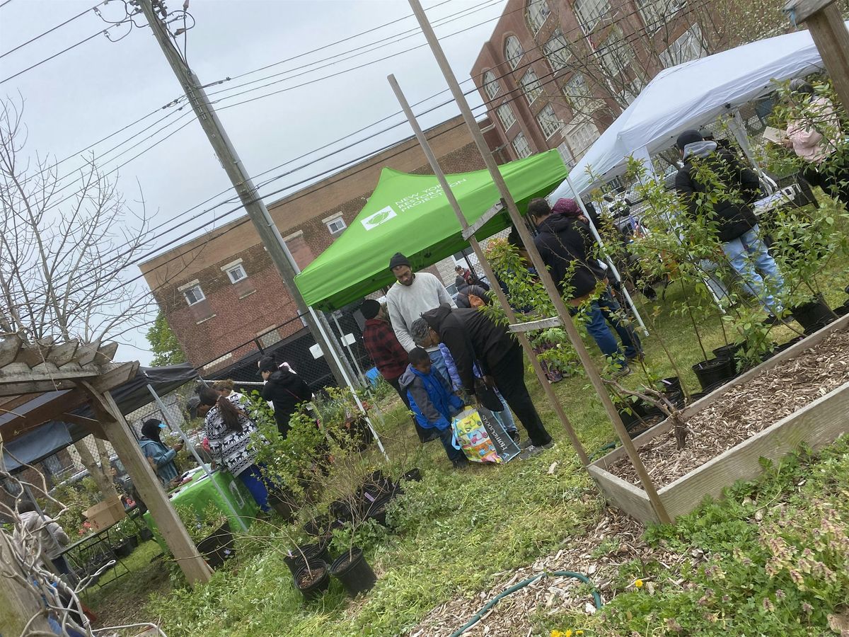 South Jamaica Community Tea | Event in Queens | AllEvents