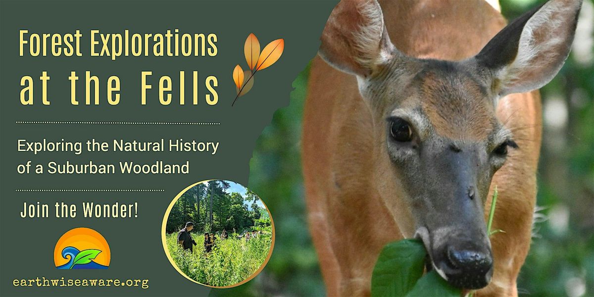 Spring Forest Explorations, 24 May | Event in Stoneham | AllEvents