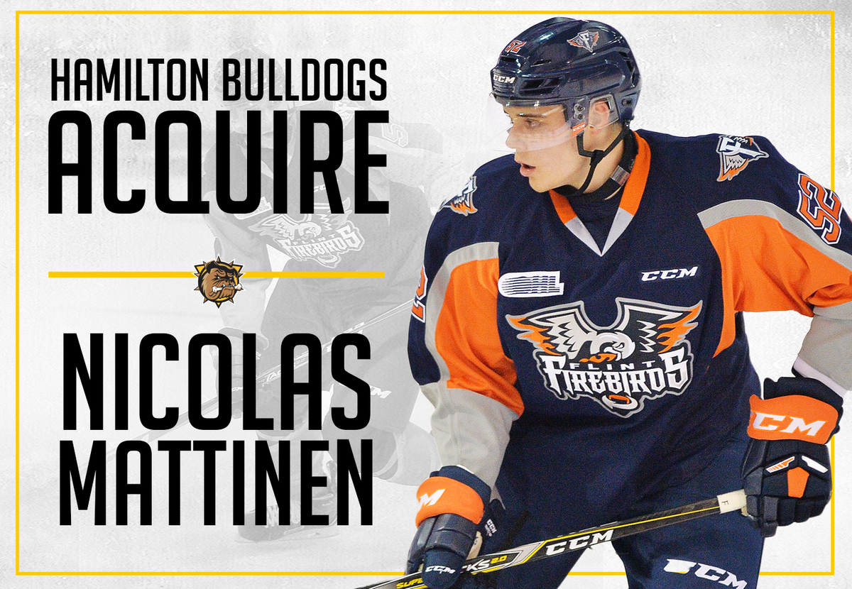 Flint Firebirds at Brantford Bulldogs at Brantford and District Civic Centre, 14 November | Event in Brantford