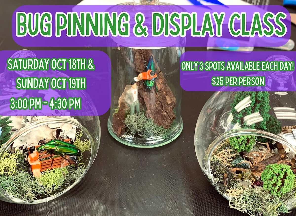 Bug Pinning & Display Class - October 2025, 18 October | Event in Beaver Dam | AllEvents