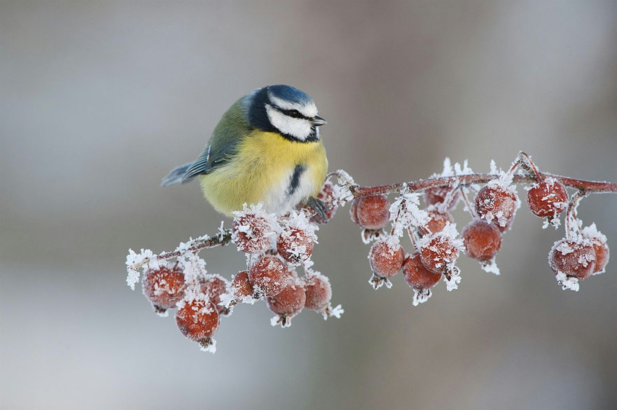 Gardening for winter wildlife workshop, 6 November | Event in Sandling | AllEvents