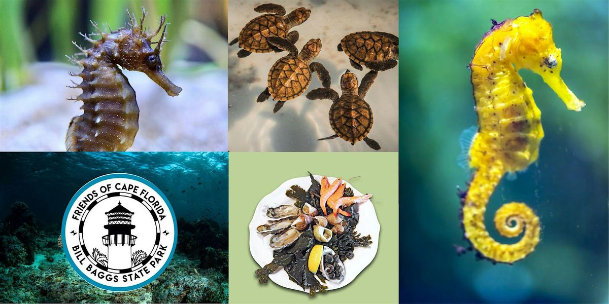 Bill Baggs Fireside Chat - FINtastic Facts | Event in Key Biscayne | AllEvents