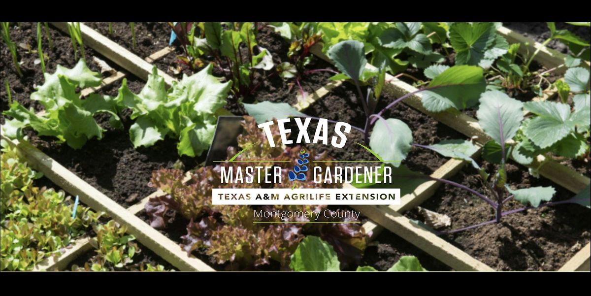 Square Foot Gardening, 8 May | Event in Conroe | AllEvents