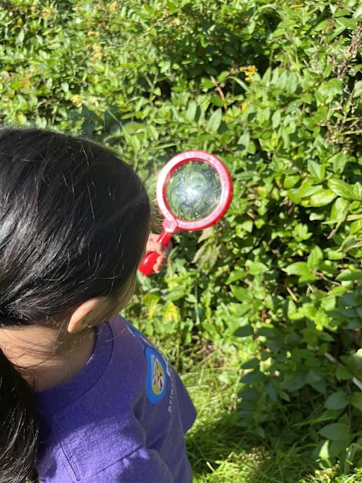 Nature's Explorers (Fall session), 18 September | Event in Ansonia | AllEvents