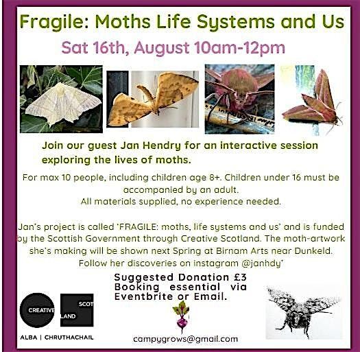 Fragile: Moths Life Systems and Us, 16 August | Event in Dundee | AllEvents