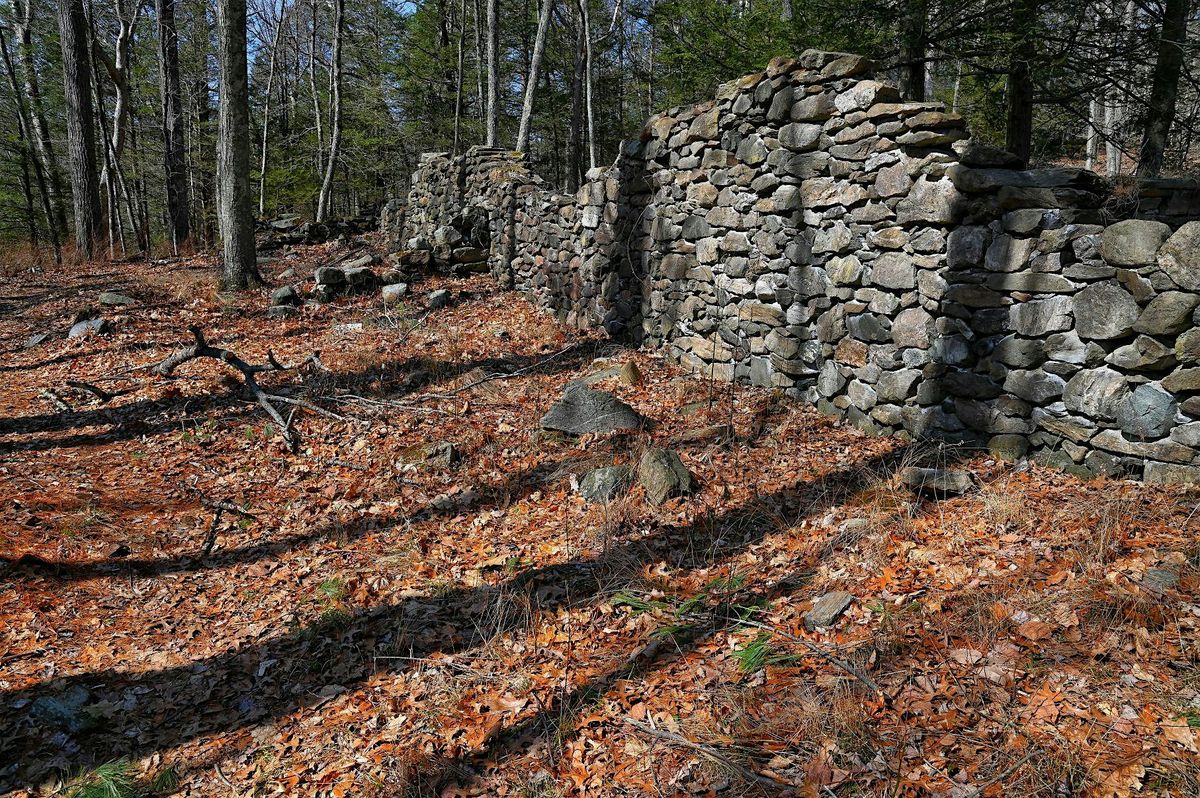 Holiday House Ruins Tour Walk and Talk, 17 August | Event in Washington | AllEvents