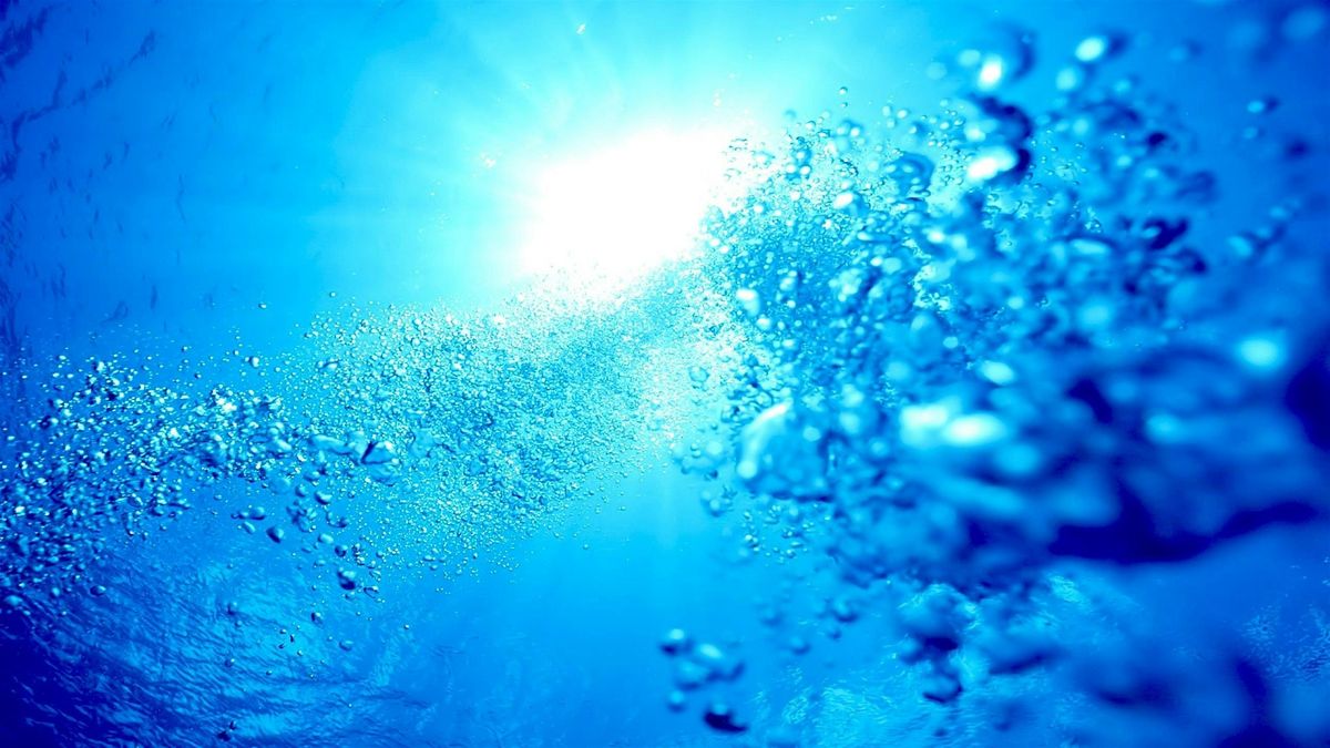 SCUBA Experience (Intro) for Veterans & Individual, 12 July | Event in Sunrise | AllEvents