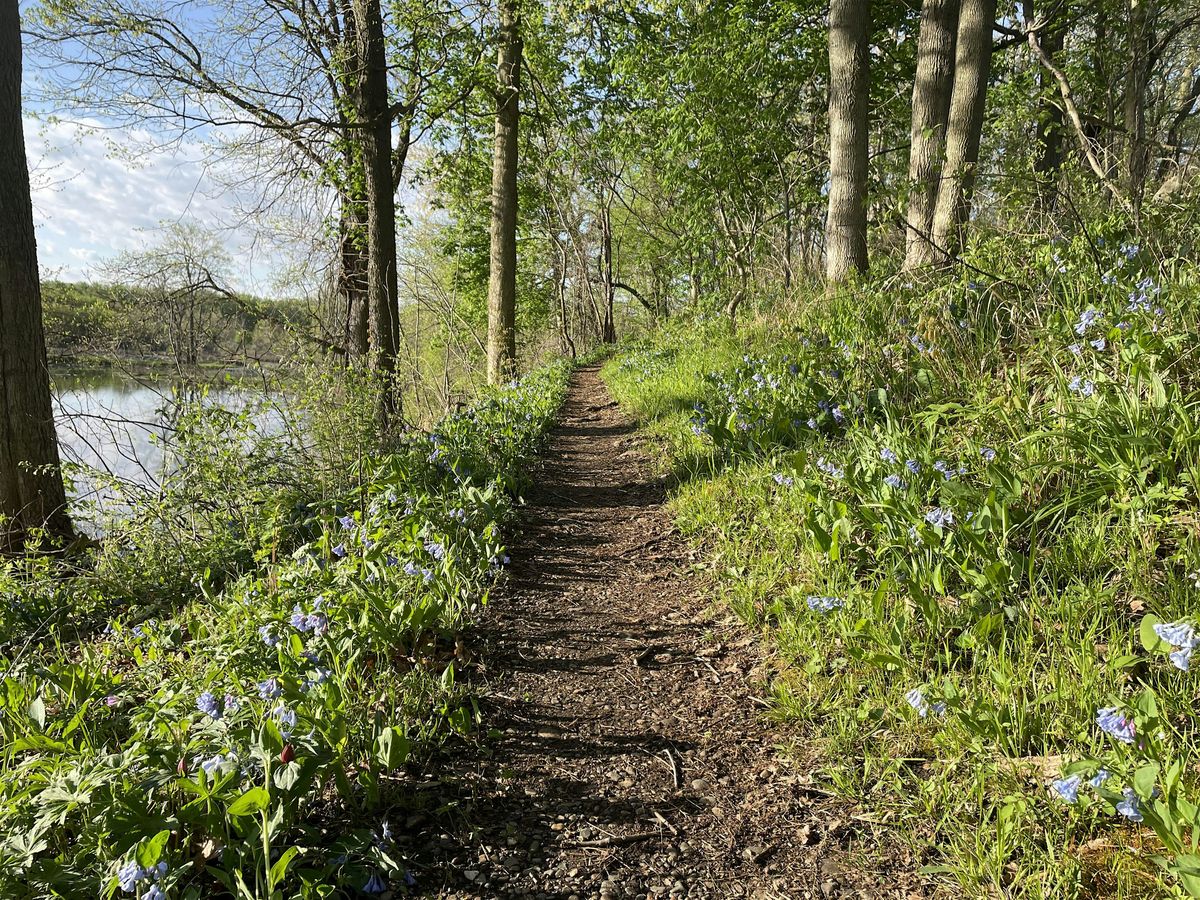 2025 Spring Nature Journaling at Prophetstown State Park-May, 25 May | Event in West Lafayette | AllEvents
