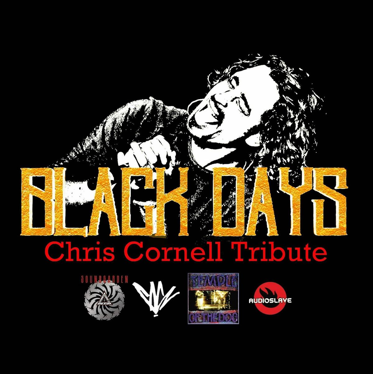 Chris Cornell and Alice in Chains tribute show, 29 November | Event in Seymour | AllEvents