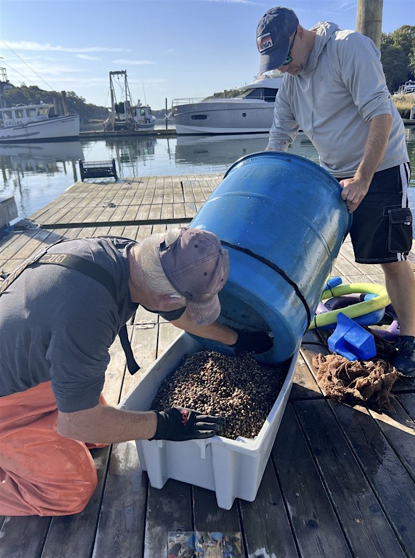 Stewardship session: Clam Barrel Preparation | Event in Southold | AllEvents