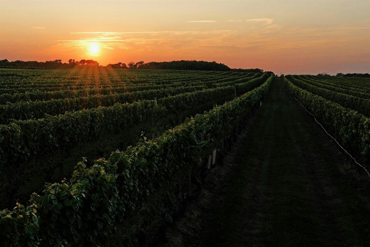 Pindar Vineyards : Squish and Sip Event, 14 September | Event in Peconic | AllEvents