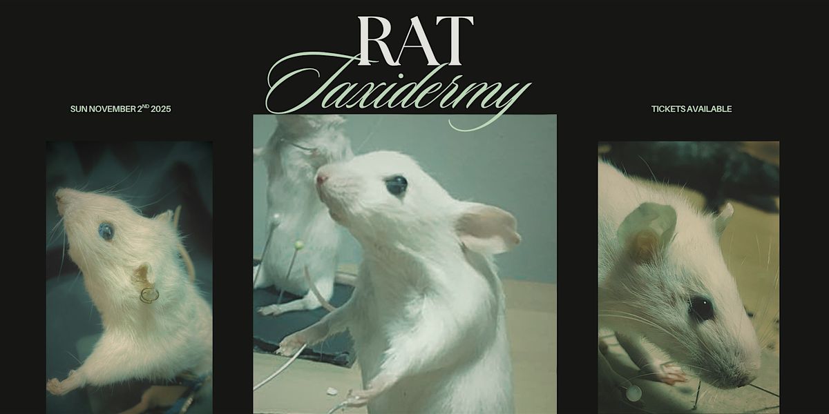 Rat Taxidermy Workshop, 2 November | Event in Vancouver | AllEvents