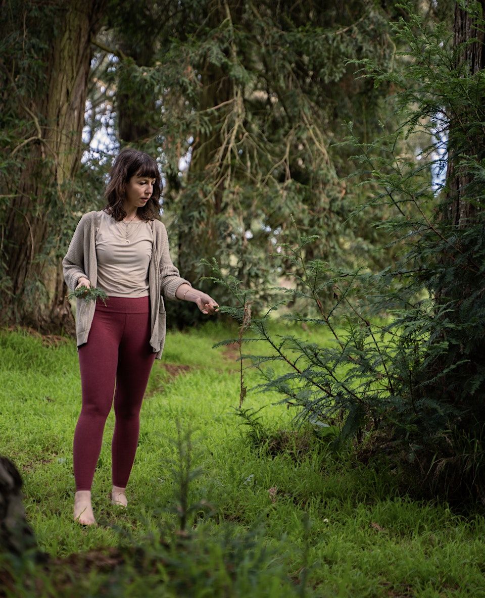 Herbal Medicine Making Circle in White Crane Springs Garden w/ Crystal, 18 May | Event in San Francisco | AllEvents