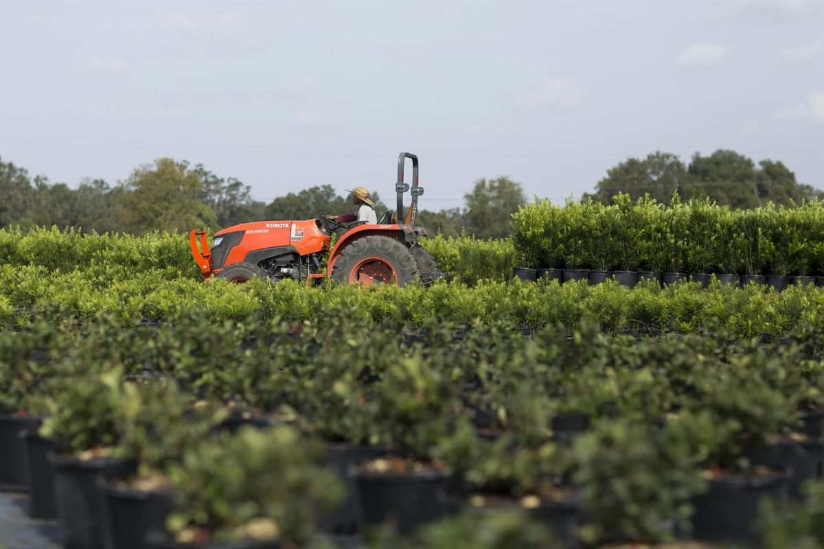 Private/ Ag Tree Crop / Row Crop Applicator Pesticide Prep. Training, 19 September | Event in Bartow | AllEvents