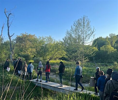 Foraged New York Foray 2 at the Vanderheyden Preserve | Event in Troy | AllEvents