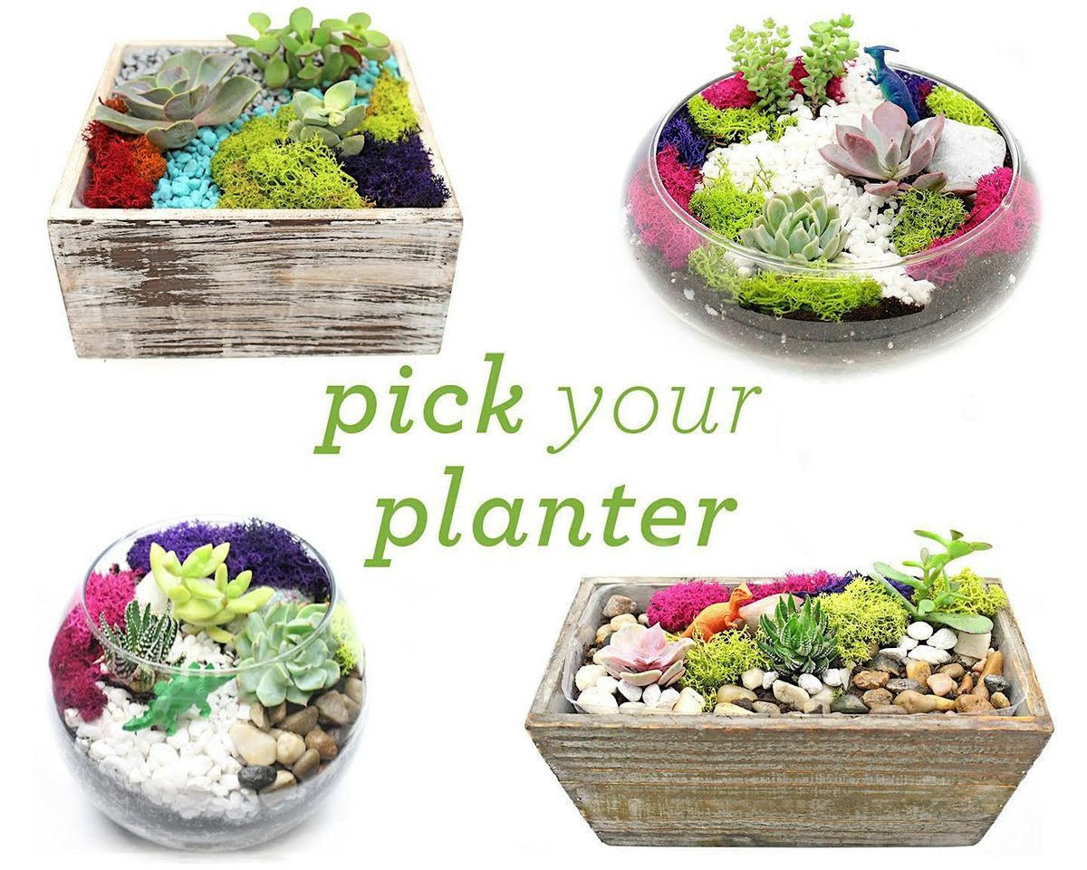 Plant Nite: Make a Succulent Terrarium, 22 May | Event in Sacramento | AllEvents