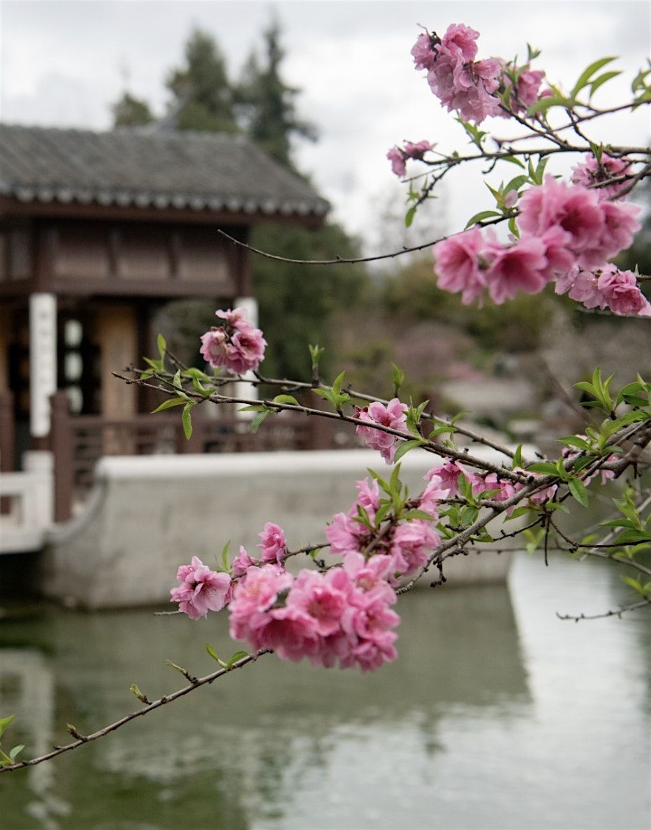July Meetup - Co-Working and Lunch  at the Huntington Library | Event in San Marino | AllEvents