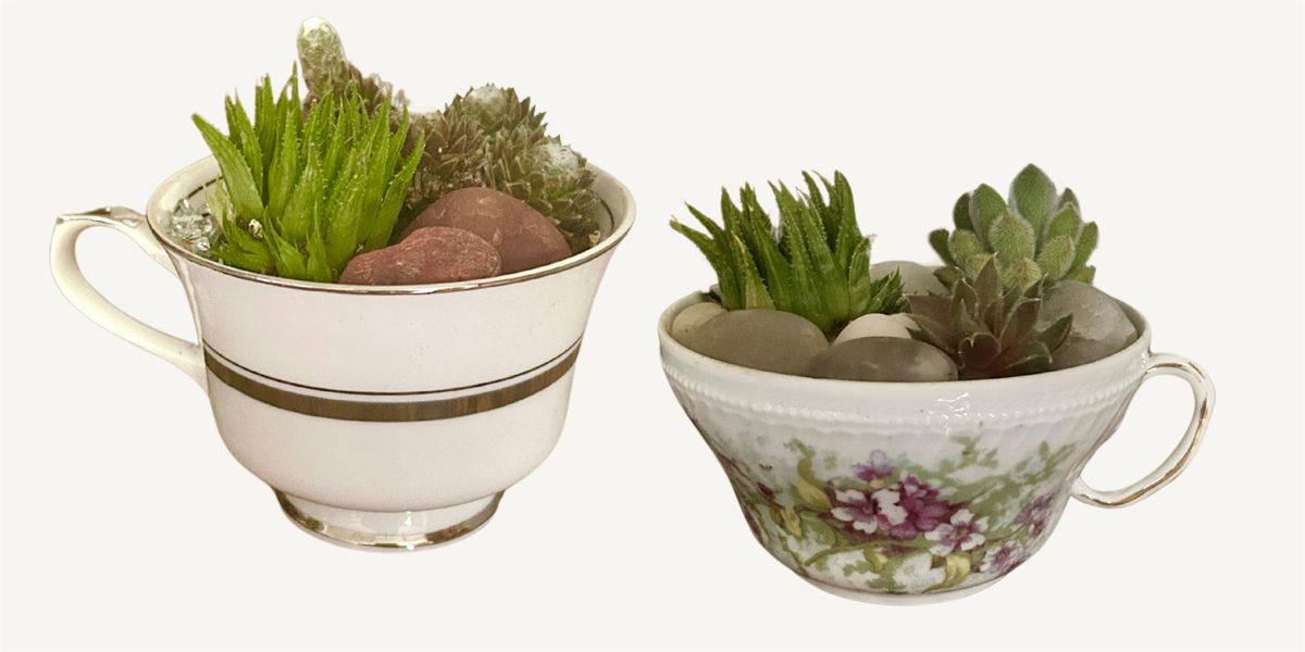 Terrarium In A Teacup Workshop, 11 June | Event in Cheshire | AllEvents