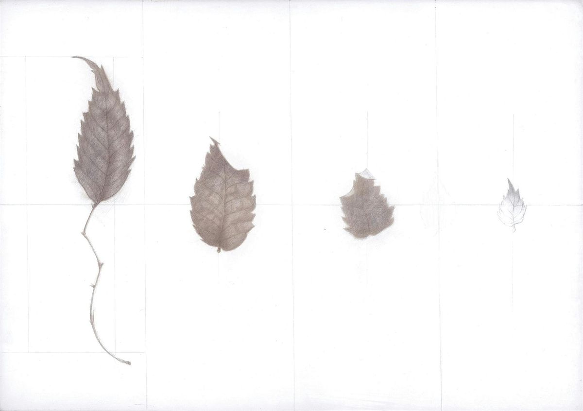 Drawing Club: Silverpoint Workshop with Adrian Haak, 11 December | Event in London | AllEvents