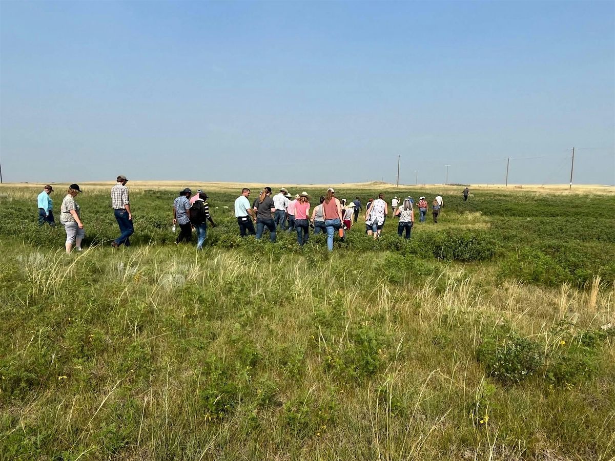CFGA Mattheis Field Day, 22 July | Event in Rosemary | AllEvents