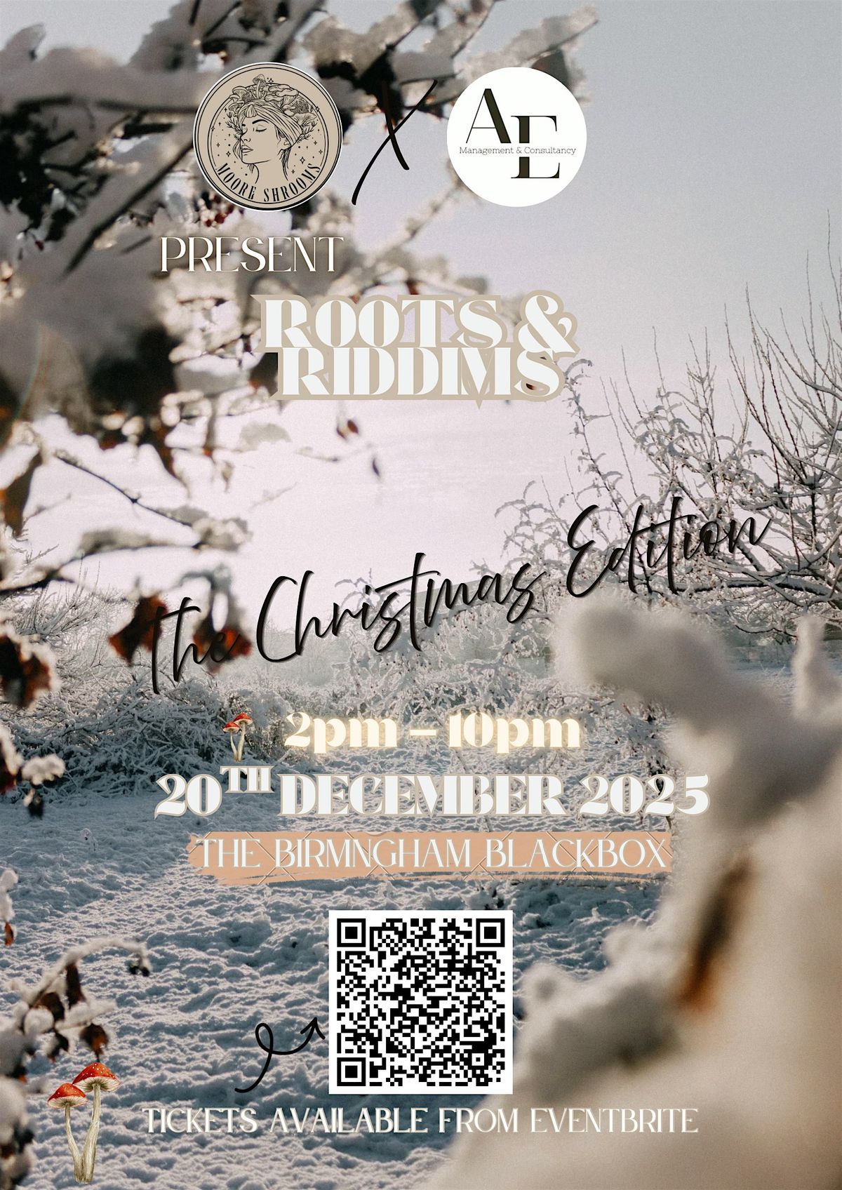Roots & Riddims: The Christmas Edition, 20 December | Event in Birmingham | AllEvents