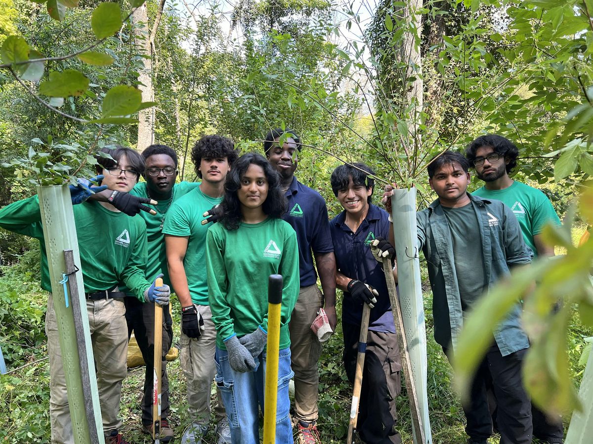 Saturday 10/11 Volunteer Native Tree & Shrub Planting - Dobbs Ferry, 11 October | Event in Dobbs Ferry