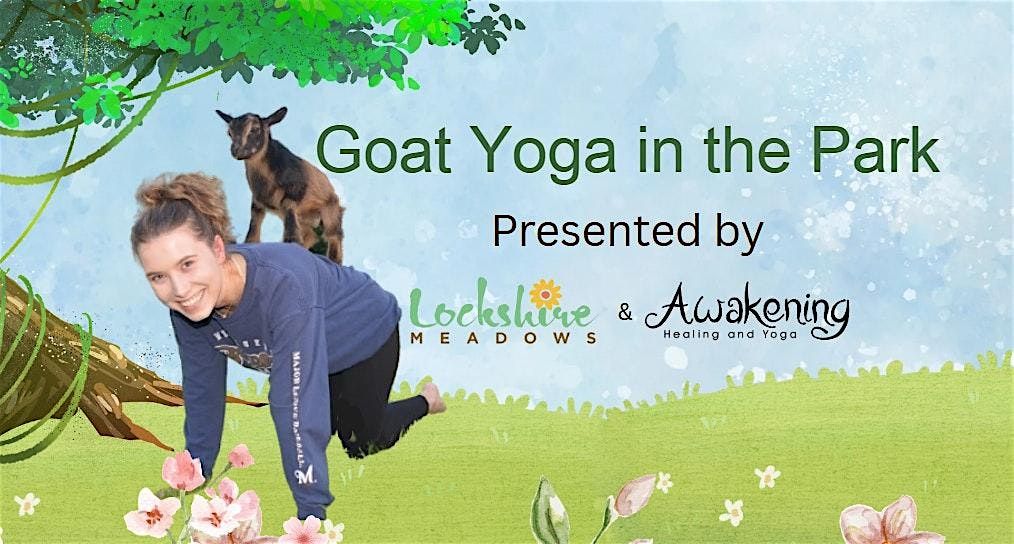 Goat Yoga in the Park - Minooka County Park, 4 June | Event in Waukesha | AllEvents