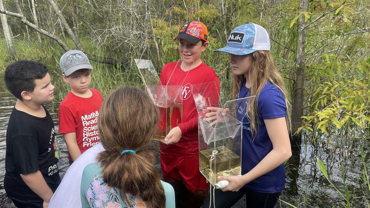 Family Wet Walks 2025, 30 August | Event in Fort Myers | AllEvents