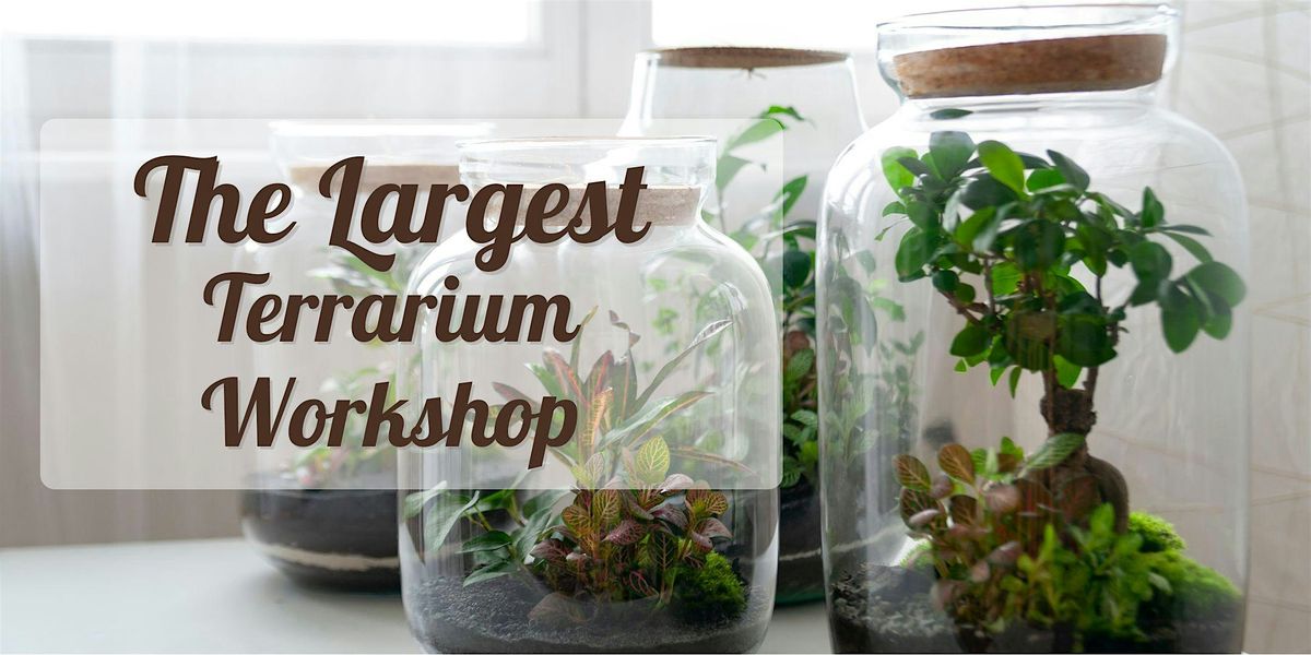 Largest Terrarium Workshop at Incendiary Brewing, 2 November | Event in Raleigh | AllEvents