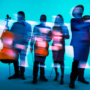 Vitamin String Quartet