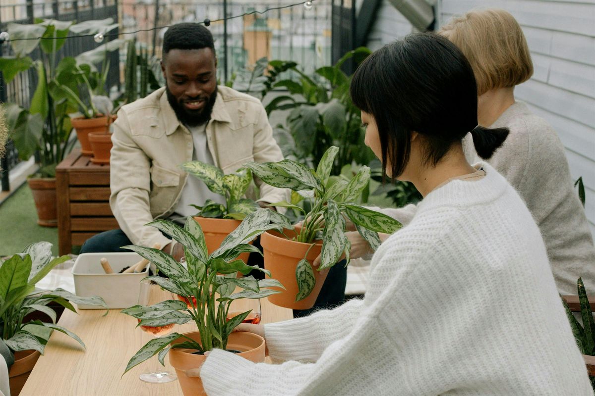 Stem Sessions: Potting Edition, 12 July | Event in Washington | AllEvents