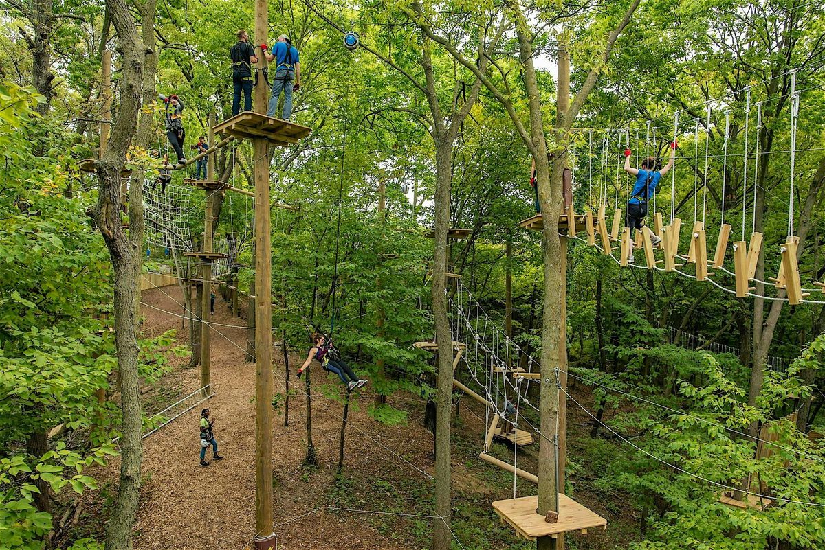 TreeRush Adventure, 18 May | Event in Bellevue | AllEvents